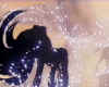 Ariel in shadow out of water.jpg (47935 bytes)