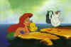 Scuttle-Ariel-Flounder.jpg (76328 bytes)